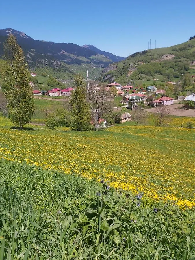 Alya Teras Otel Trabzon Turkey