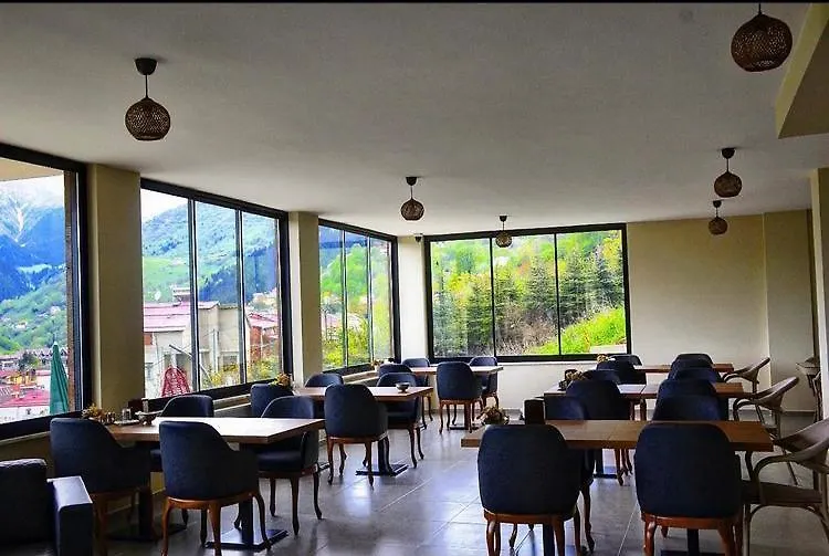 Alya Teras Otel ترابزون 2*,